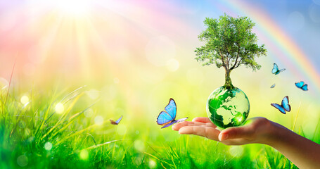 Tree On Planet - Environment Concept - Hand Holding Green Globe With Butterflies And Rainbow