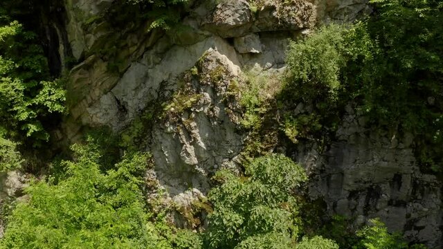 moss covered rocks