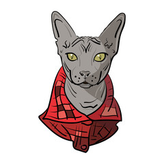Hand-drawn Sphynx cat in a red shirt. Vector illustration for print and cat food advertising, pet shop, sticker and poster, flyer and postcard.