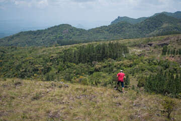 Fototapeta premium ..man walking in the forest enjoying nature