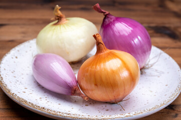 Onion collection, white, yellow, pink and purple onlons