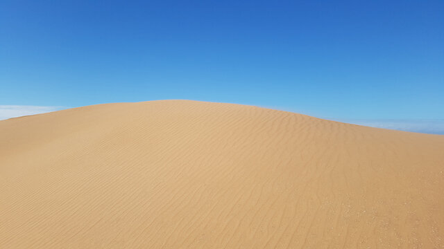 beautiful perfect desert sand dune with blue sky in the background. wind ripples lines or waves effects on sands close up.