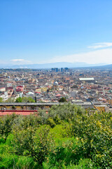 Fototapeta premium Panorama of the city of Naples from the vineyard of the abbey of Saint Martin, Italy.