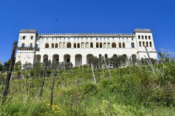 Fototapeta premium The monastery of Saint Martin seen from the vineyard below., in Naples, Italy.