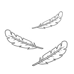 Bird feather. Decorative element. Cartoon illustration. Plumage of flying animal for Coloring book