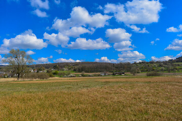 M&ouml;ggingen/ Radolfzell am Bodensee