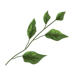 Green branch in beautiful style on white background. Beautiful green branch, great design for any purposes.