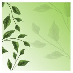 Green branch in beautiful style on white background. Invitation card, banner.