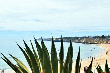 Portugalia. Algarve.