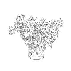 Vector illustration of the bouquet of rose flowers. Coloring book page.