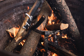 Closeup shot of a burning fire with wood