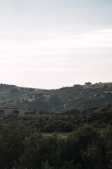 Vertical shot of fields and forests on a hillside

