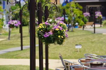 table and chairs in a garden