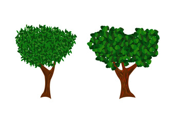 Illustration of two isolated trees with large leaves.