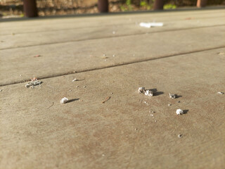 footprints in the sand