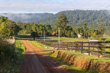 Farm road with field, mountains and forest in background