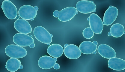 Sacharomyces yeast, probiotic fungi close-up (sacharomyces cerevisiae) - obrazy, fototapety, plakaty