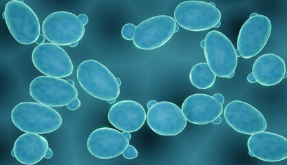 Sacharomyces yeast, probiotic fungi close-up (sacharomyces cerevisiae)