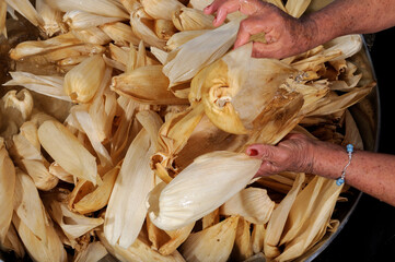 hojas de maíz para tamales remojadas para suavizarlas