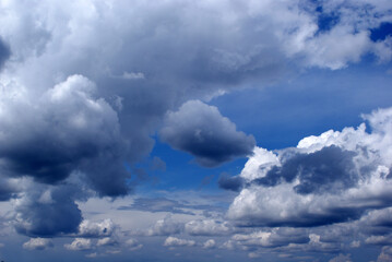 Obraz premium A little bit of blue in a field of white and gray