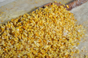 produccion de nixtamal para hacer masa de tortillas o tamales