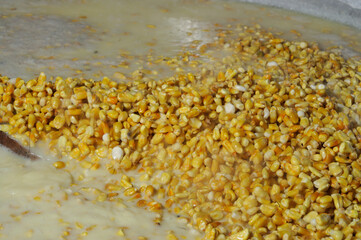 produccion de nixtamal para hacer masa de tortillas o tamales