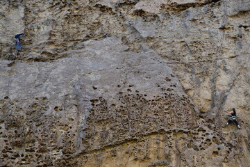 Piedras con poros, parecidos a huesos (Patagonia)