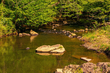 A Rocky Stream Filled with Boulders.
