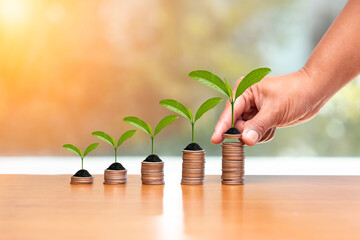 Fototapeta na wymiar ideas growing money, creative business finance saving money investment, plant growth coin stack saving money successful for future concept, business growth coin money finance investment conceptual.