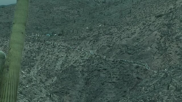 Pilgrimage in Jujuy Province, People Marching during the Holy Week in the Quebrada de Humahuaca Valley, Altiplano Region, Argentina, South America.  