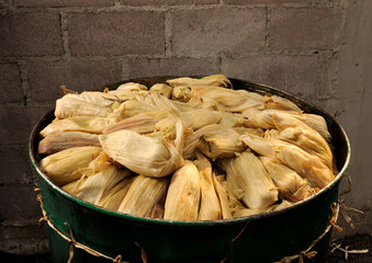 tamales comida típica  de los mexicanos cultural  hechos con masa de maiz