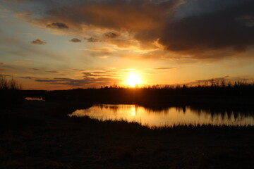 Warm April Sunset, Pylypow Wetlands, Edmonton, Alberta