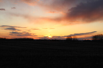 Sunset On The Field, Pylypow Wetlands, Edmonton, Alberta