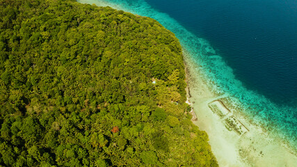 Coastline with forest and palm trees, coral reef with turquoise water, aerial view. Sea water surface in lagoon and coral reef. Seascape of tropical island covered wgreen forest Camiguin, Philippines