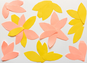 Fototapeta na wymiar Abstract background concept - petal shaped coral and yellow paper arranged like flowers on white