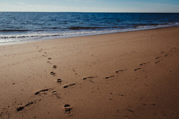 footprints