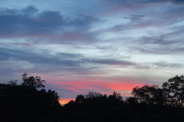 Sky at dusk. With black tree shadow