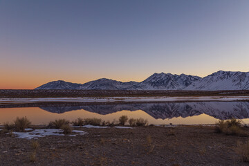 mammoth © Tyler