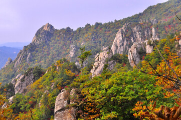 Fototapeta na wymiar 설악산 국립공원의 가을풍경