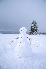snowman on the snow