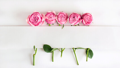 Flowers composition pink flowers on white background card for text Flat lay, top view, copy space