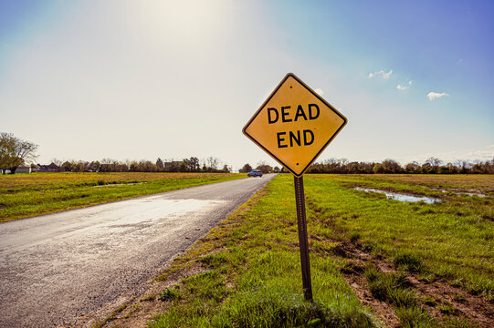 Dead End road sign with a road going to horizon in the background. Versatile image for bussiness or project failure, road blocks, problems concepts with copy space. Sunny day behind.