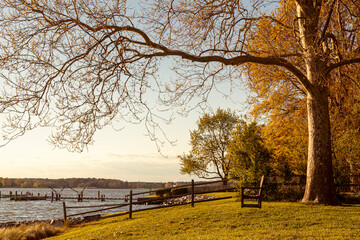 A prime location by the water with an empty wooden bench under trees with autumn colors at sunset. A nostalgic senior housing complex themed image with great views of park plants, sunset sky and sea.