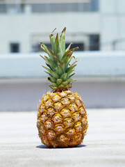 Filipino pineapple photographed with a gray building in the background.