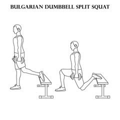 Bulgarian dumbbell split squat exercise strength workout vector illustration outline