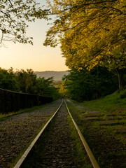 新緑の蹴上インクライン
