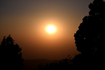 Picture of sunset and trees in one frame. Nature
