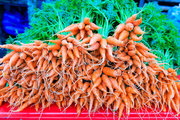 baby carrot in the market.