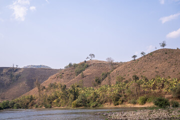 tree forestry exploitation in a sunny day in thailand,Stumps and logs show that overexploitation leads to deforestation endangering environment and sustainability.