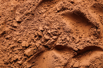 Heap of cocoa powder as background